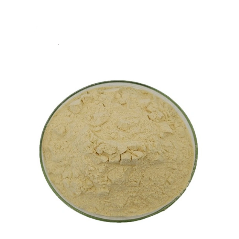 Schizochytrium Algae Powder 10% 18% Schizochytrium Powder