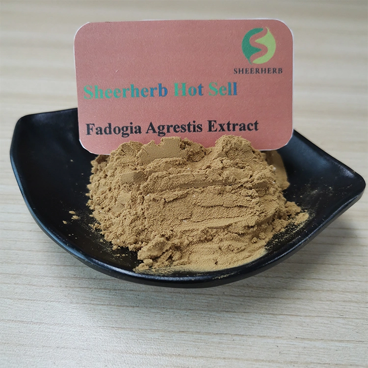 Sheerherb OEM Private Label Fadogia Agrestis et Tongkat Ali Extract Supplement Capsule