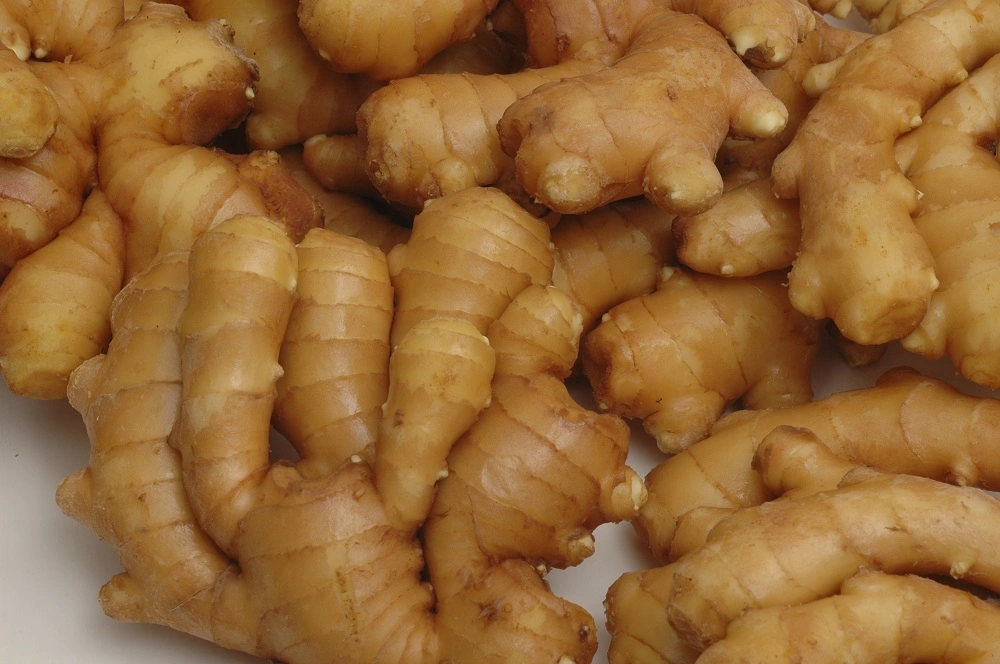 20kg Mesh Bag Packing Fresh Ginger for Exporting