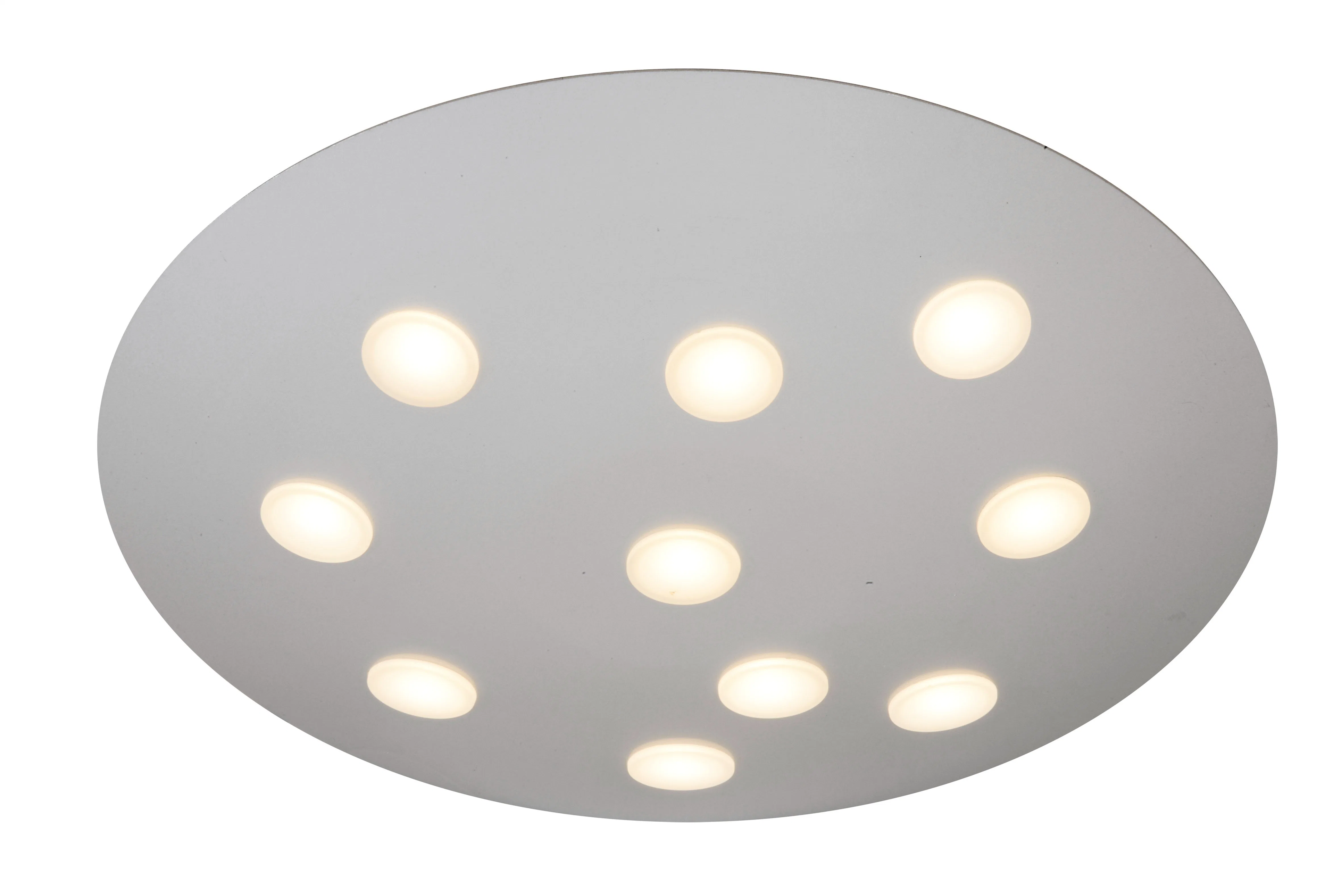 Modern Adjustable Head Ceiling Down Light LED Spot Light