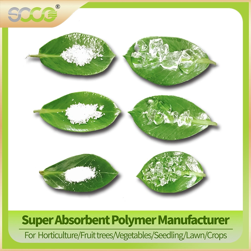 Biodegradable Agricultural Drought Resistance Super Absorbent Polymer Water Retaining Powder Sap for Planting Cherries and Blueberries