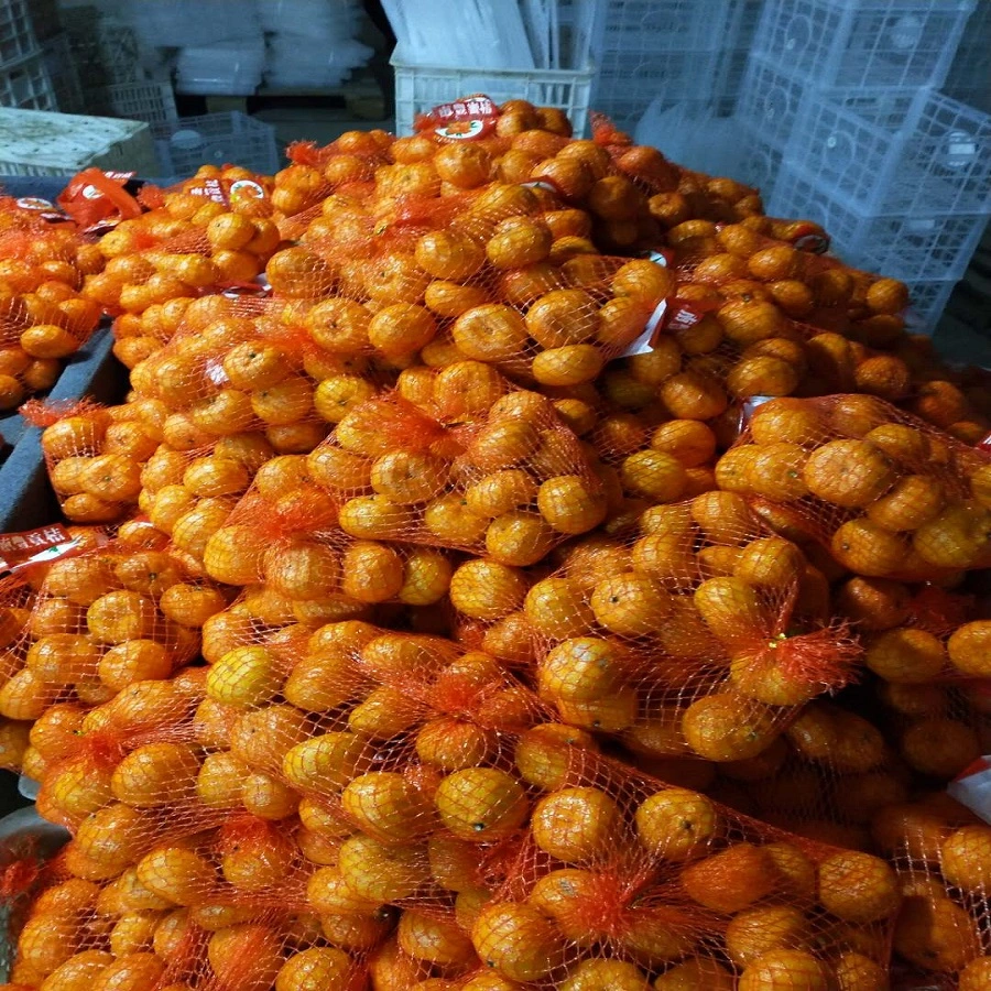 Fresh Small Size Baby Mandarine Orange