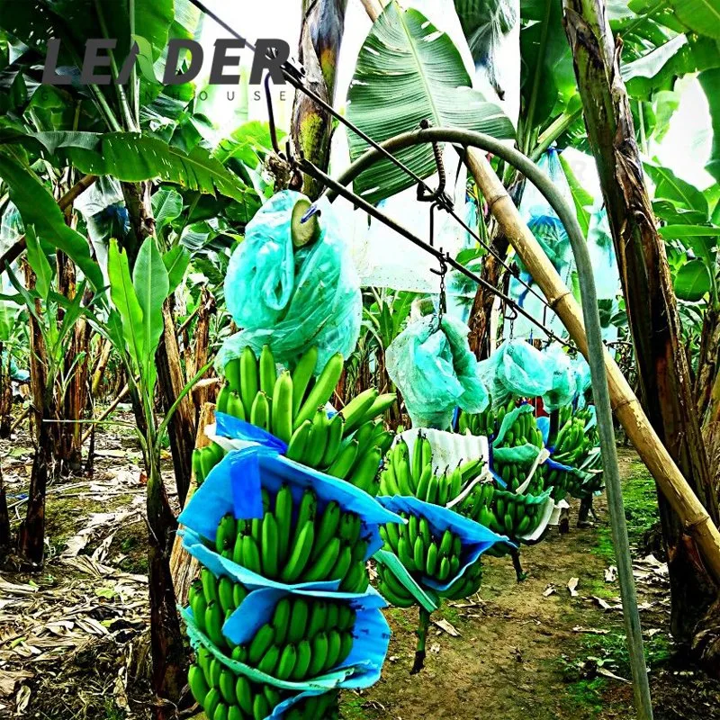 La agricultura Teleférico carro de herramientas Herramientas de enrollado de la polea colgada rodillo Banana