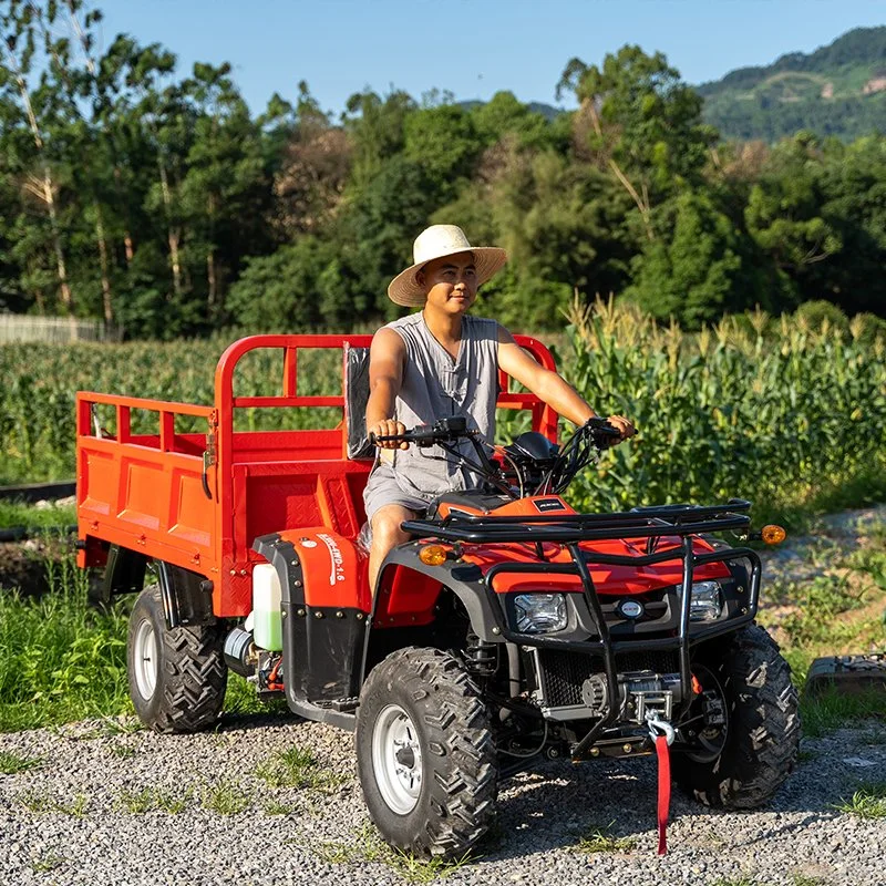 Max. Speed 65km/H Four Wheeler 250cc 300cc 4X2 Beach Buggy