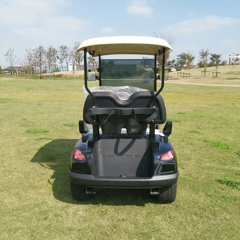 Prix bas Batterie au plomb 48V Flotte Voiture de golf électrique 2 places