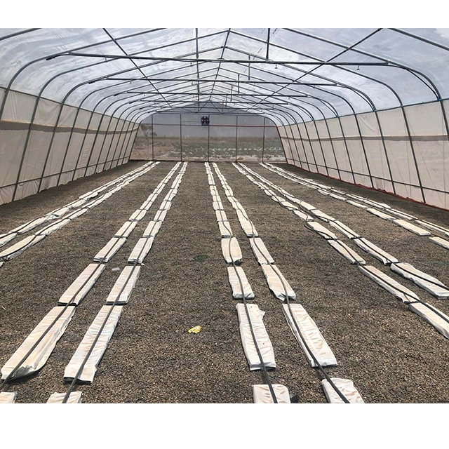 Low Cost Invernadero Agricultural Single-Span Greenhouses for Sale