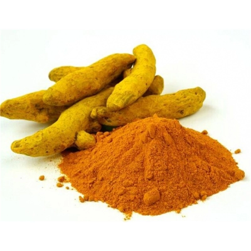 Vietnamese Pure Turmeric Starch Yellow and Red Fresh Turmeric High quality/High cost performance Black Yellow Red Turmeric Powder