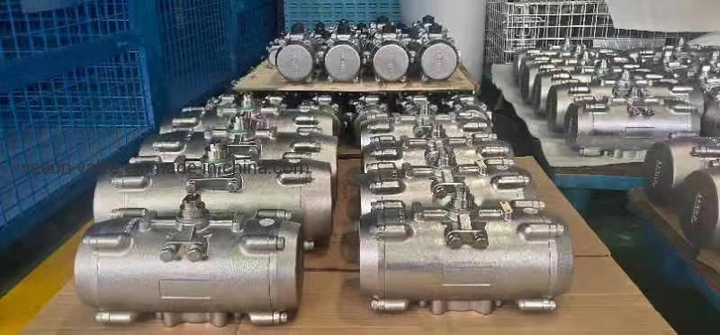 Stainless Steel Pneumatic Actuator for Marine Offshore Oil and Gas Platform Oil Drilling