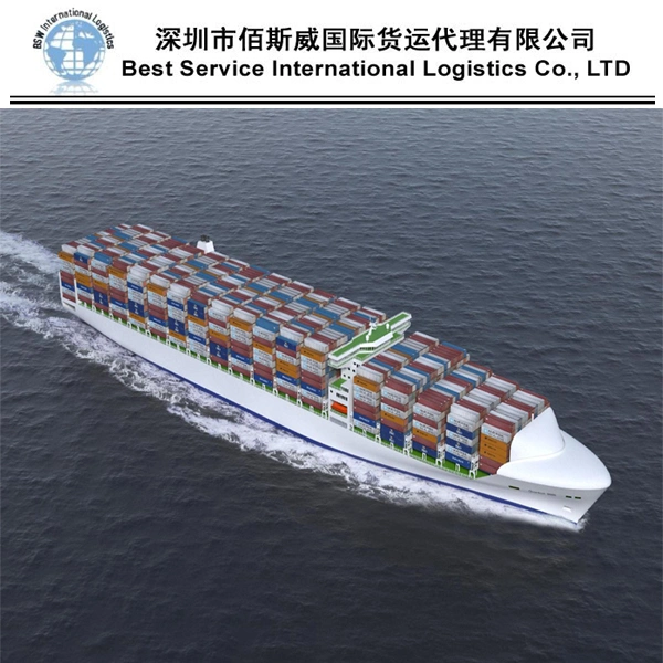 China Agent Sea Freight to Sweden Transportation Logistics