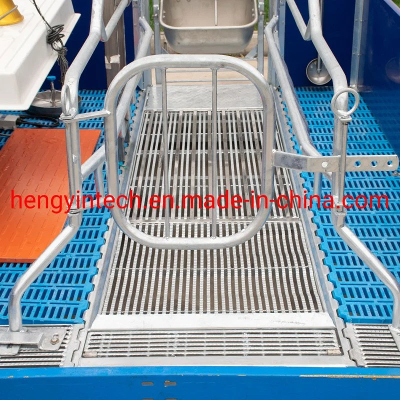 Pig Raising Equipment Swine Equipment Farrowing Cage for Sale