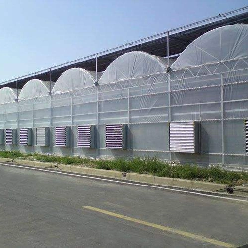 200 Mircon Plastic Film Tunnel Greenhouse for Tomato