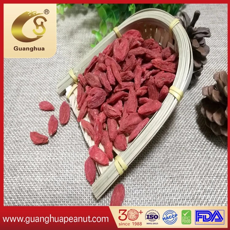 Grade AAA Best Quality Dried Goji Berries New Crop