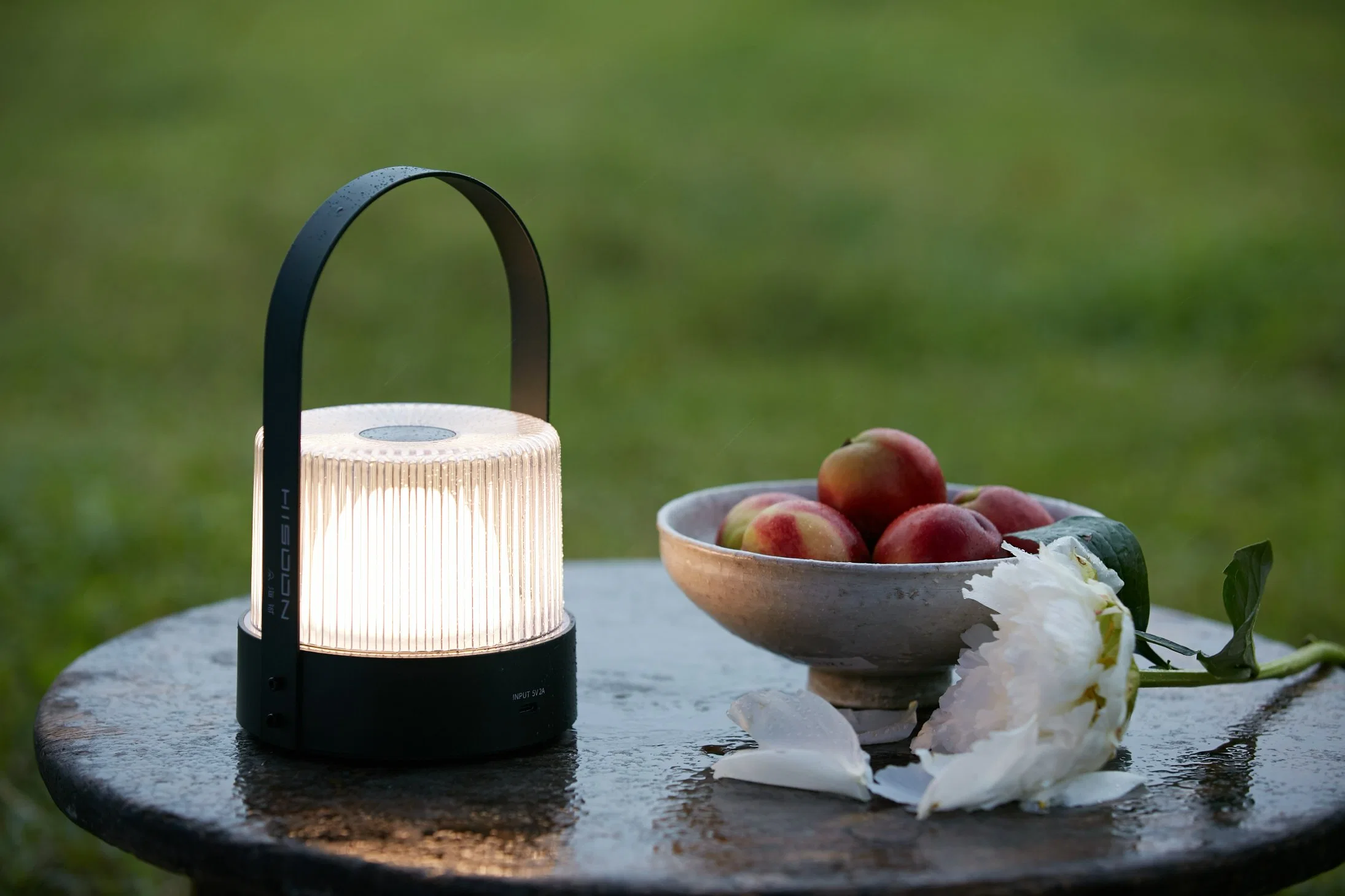 Hisoon LED Stylish Battery Rechargeable Portable Camping Garden Livingroom Table Lamp