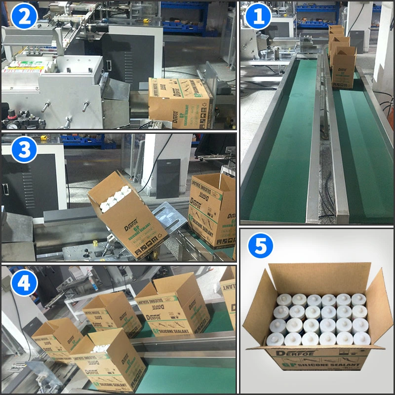 Automatische Kartonbox Verpackung Verpackungsmaschine für Fettabdichtung Klebstoff