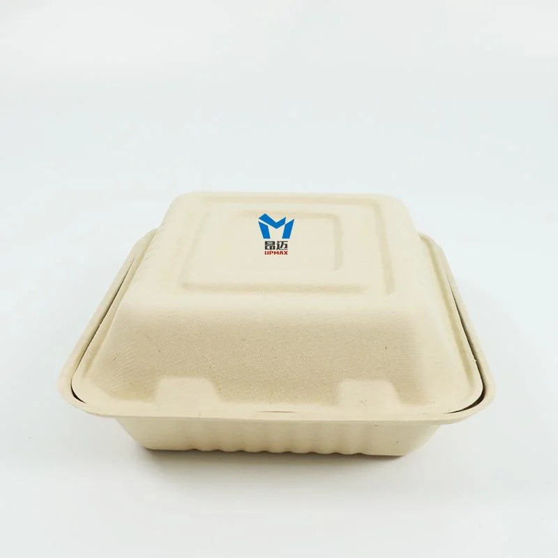 Spot Environmentally Friendly Biodegradable Take-out Pulp Packing Box