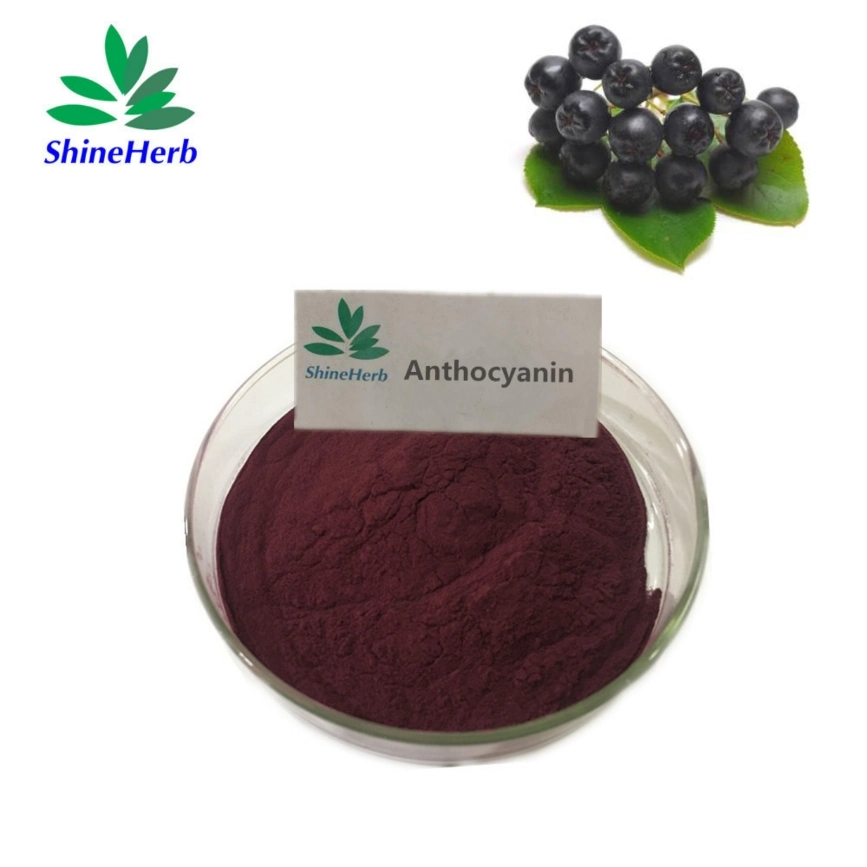 Black Chokeberry Extract Anthocyanin Aronia Berry Powder Anthocyanidin Aronia Extract