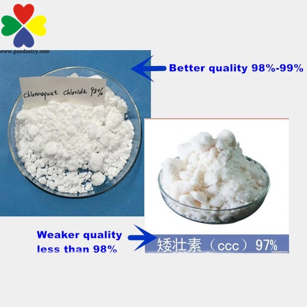 Agrochemical Plant Hormones Cycocel CCC Chlormequat Chloride Price