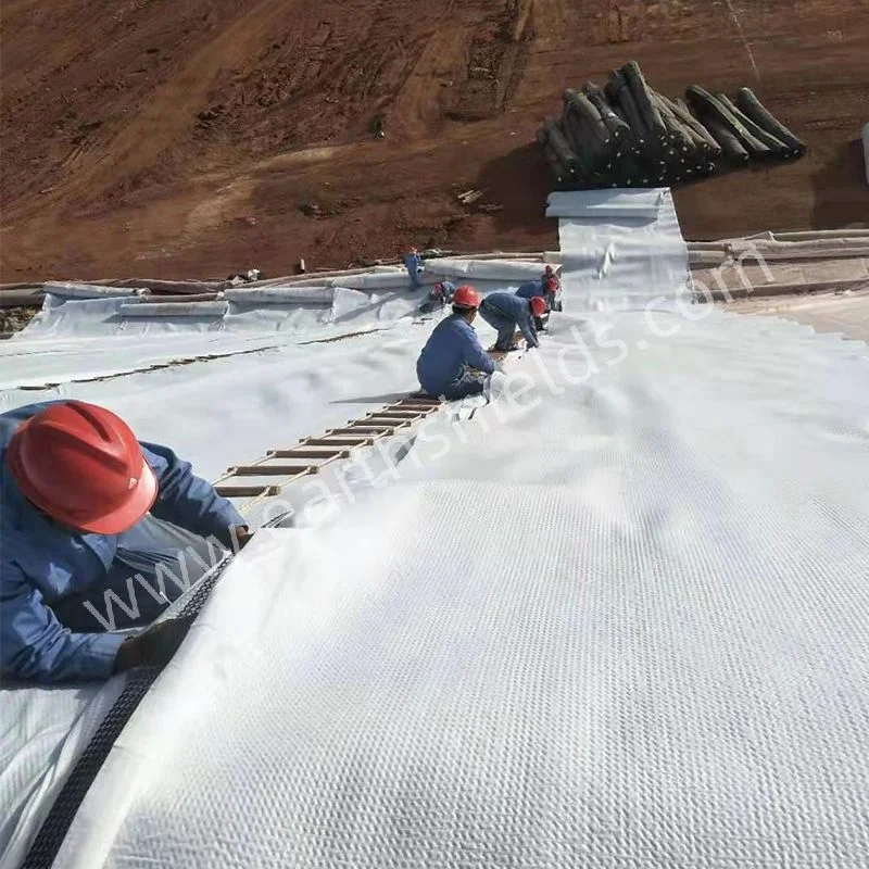 PP Pet Woven Fabrics Geotextile for Tailing Ponds, Port Expansion