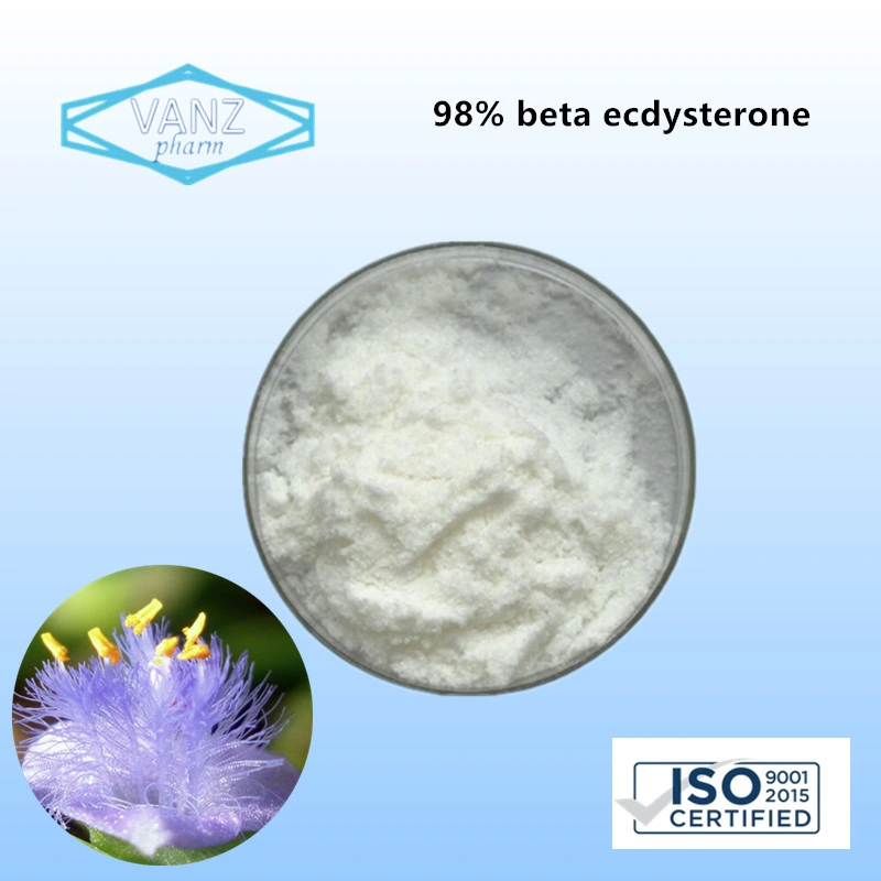 Cyanotis Arachnoidea Extract UV Beta Ecdysterone Powder