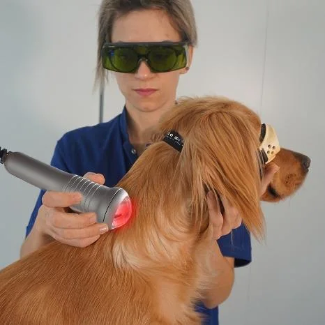 Discount Class IV Laser 980nm Laser Physiotherapy Device Price Machine Higt Intensity Veterinary Laser Therapy Vet Laser for Horse