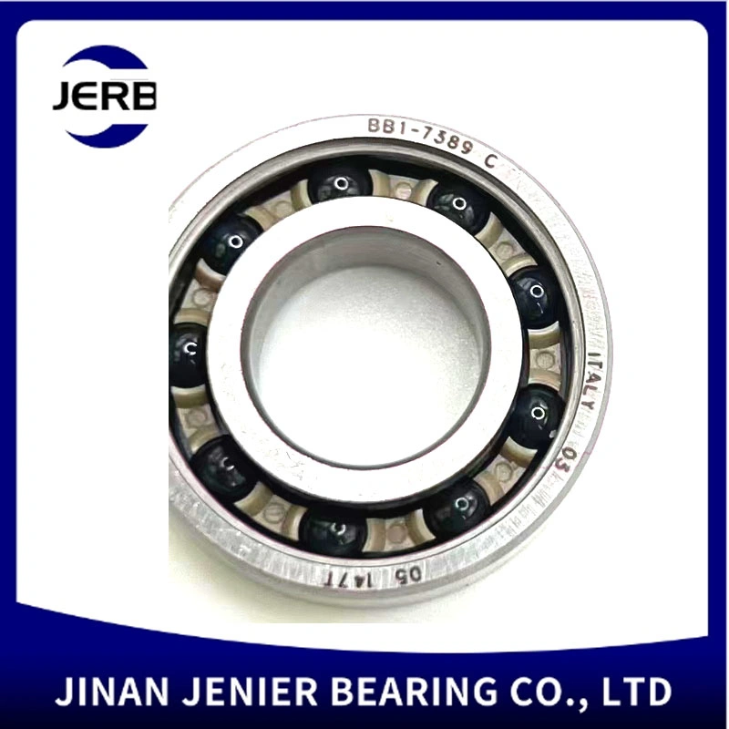 Generator Ceramic High Temperature Stainless Steel Bb1-7069 Bb1-9527 Bb1-3343 Bb1-0287 Bb1-0322 Deep Groove Ball Bearing