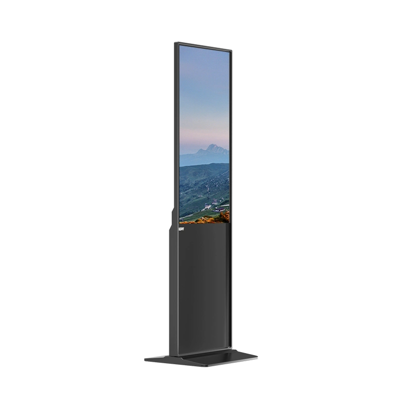 Lofit Network 43 55 بوصة Digital Signage وتعرض في الداخل شاشة LCD لعرض إعلانات USB Media Smart Android