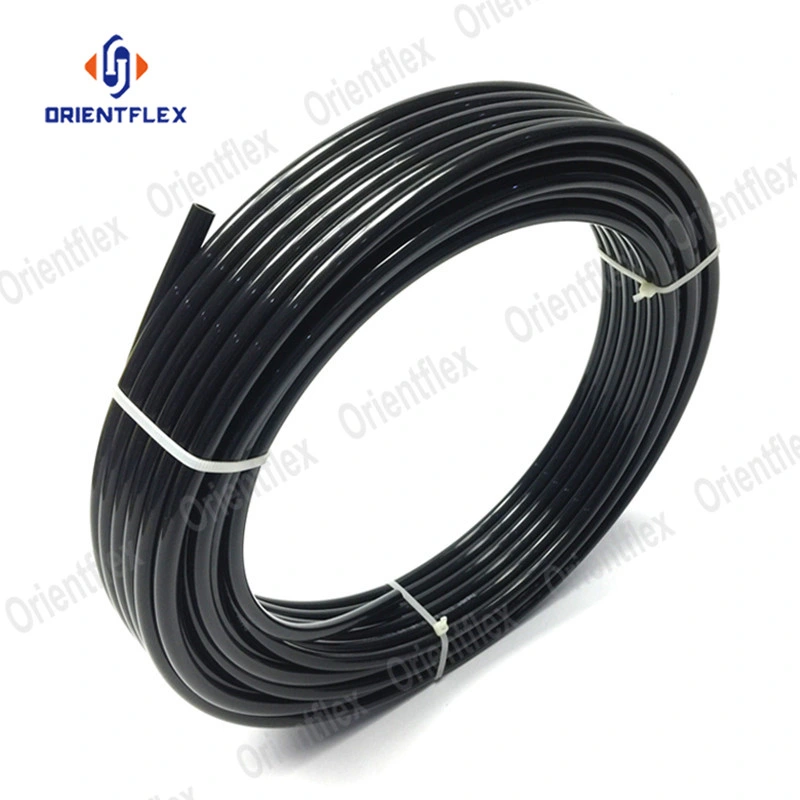 Flexible 6mm Black PA6 PA 12 Nylon Hose Tube