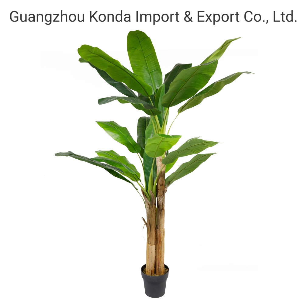 Banana Leaf Tree Skybird Bird of Paradise Plant Tree for Home Bonsai Plants Decor