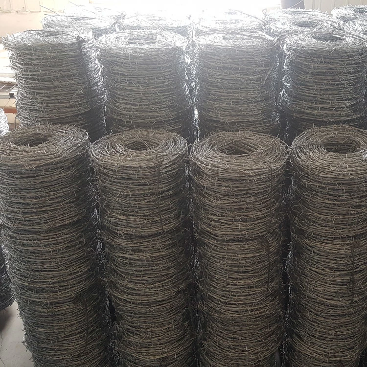 25kg Hot-Dipped Galvanized or PVC Coated Barbed Wire with Customizable Specification