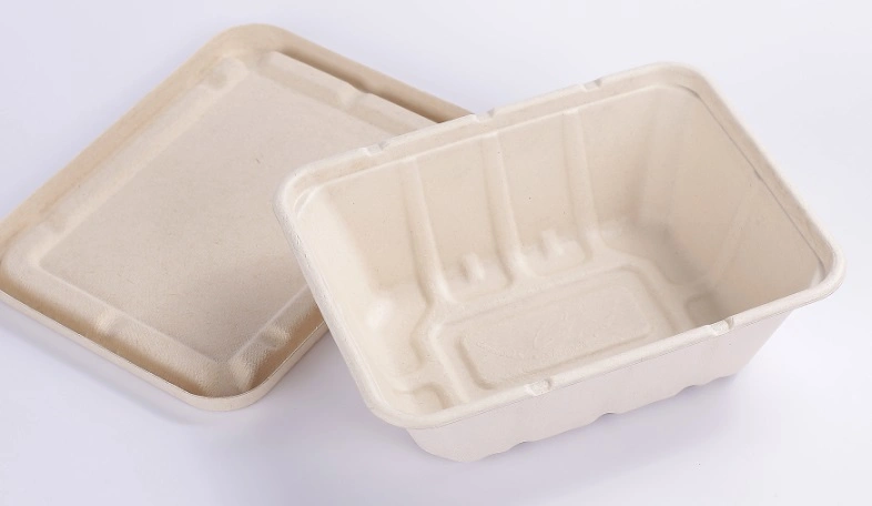 Comida ligera Multi-Square desechables Box Lunch Box Caja de embalaje biodegradables