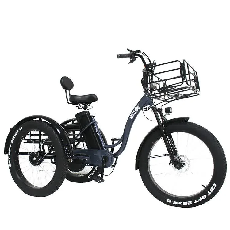 China Supplying 48V 800W Rear Hub Motor Electric Bike 20ah Lithium Battery Snow E Trike for Sale