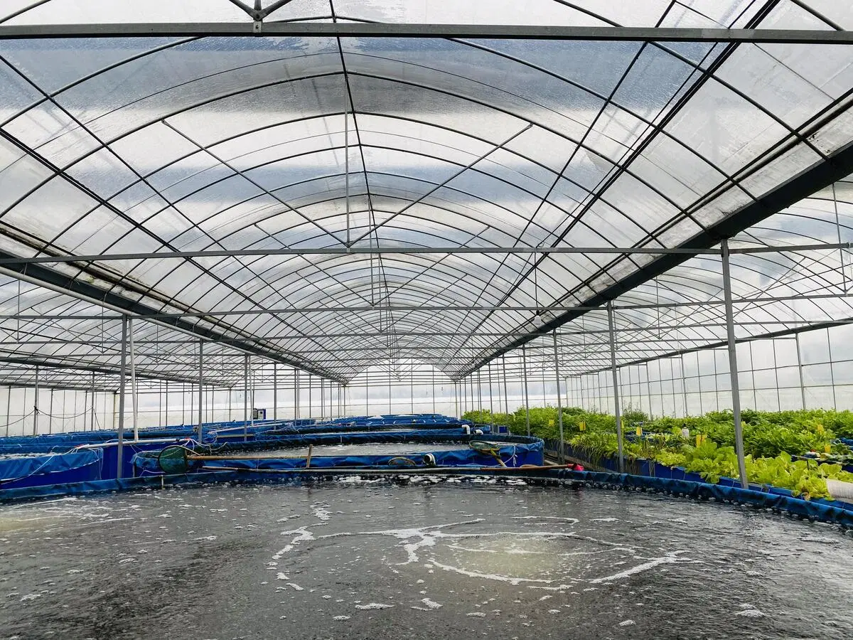 Schatten Netz Gewächshaus Gewächshaus mit Gewächshaus Hydroponics System