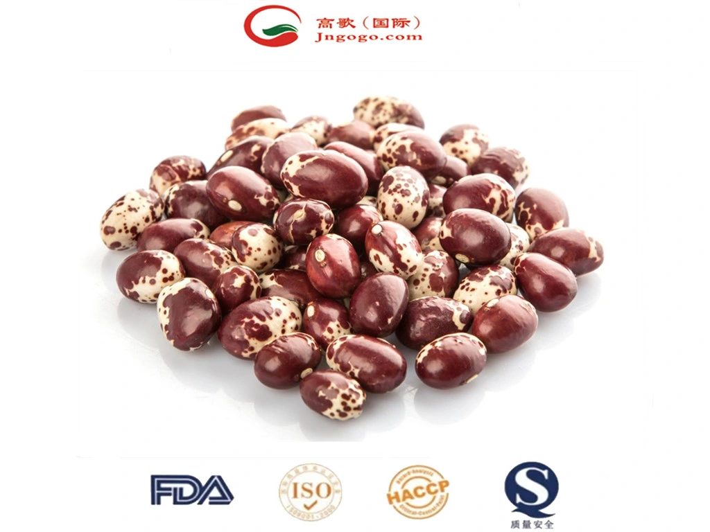 High quality/High cost performance Xinjiang Round Shape Lskb Beans