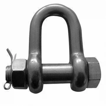 Stainless Steel European Type Dee Shackle 304/316 with Sale Online