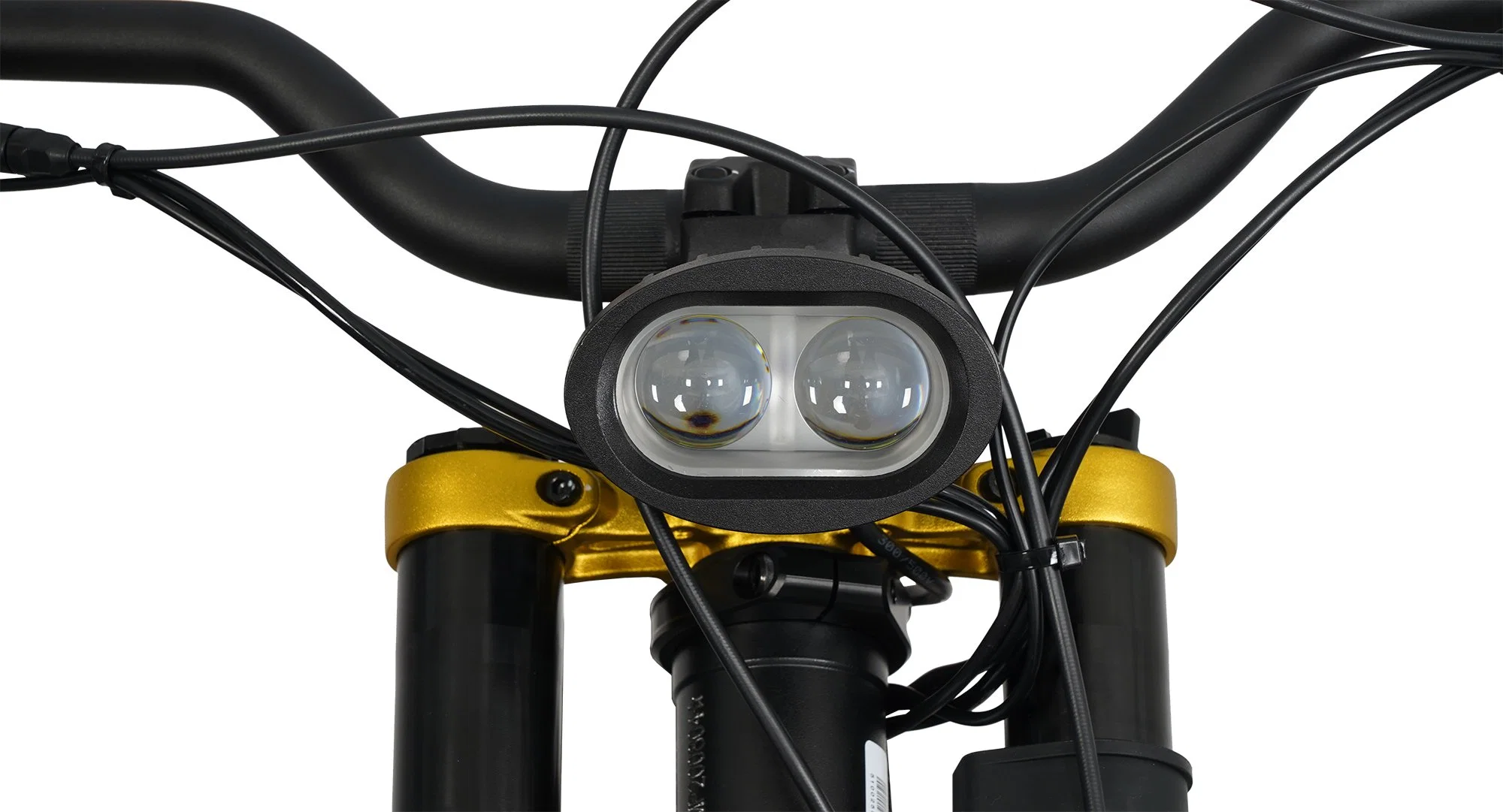 2023 vitesse max. 80 km/h États-Unis modèle Design Off Road Electric Vélo tout terrain