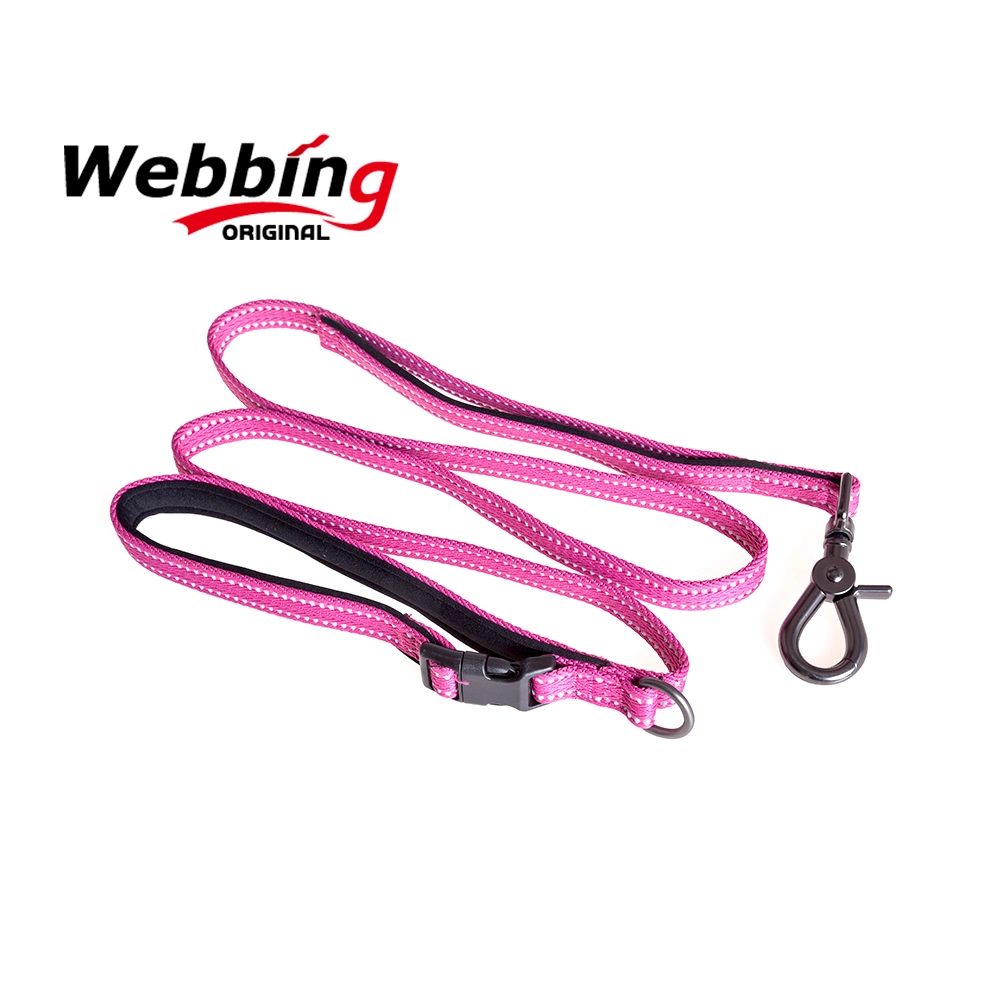 Original Webbing High Quality-Assured Custom Pet Leash Bite Proof Stainless Buckle Dog Collar Leash & Collar for All Size Dog