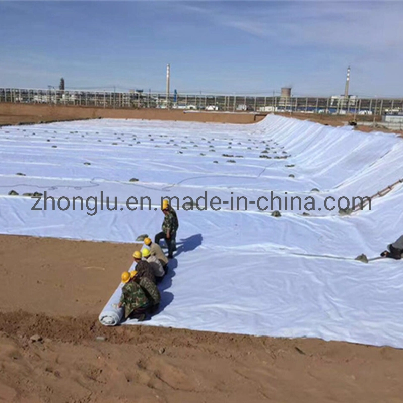 Composite Geomembrane with Non Woven Geotextile and Geotechnical Cloth