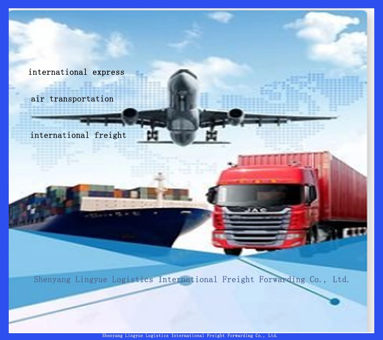 Fast Cargo Amazon Fba Forwarding Drop Shipping International Express From China Shenyang to USA/EU/UK