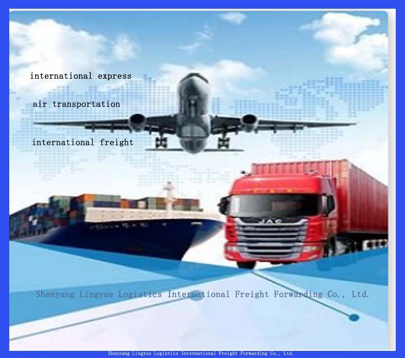 Fast cargo Amazon FBA Forwarding Drop Shipping International Express de China Shenyang para EUA/UE/Reino Unido