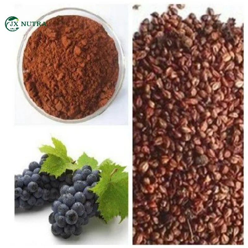 Grape Seed Extract 80% Polypenols 95% Proanthocyanidins Grape Seed Extract