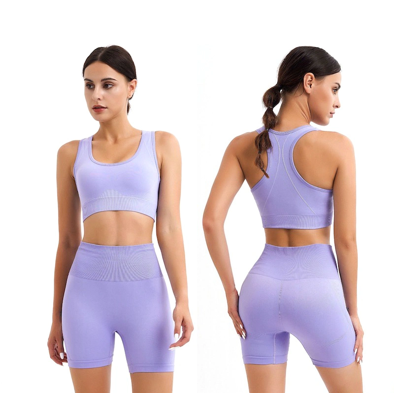 Wholesale Women Seamless OEM ODM Fitness Wear Casual Sports Wear 2 Piece Workout Set Racer Back Bra with Shorts Gym Yoga Clothing Fitnesswear