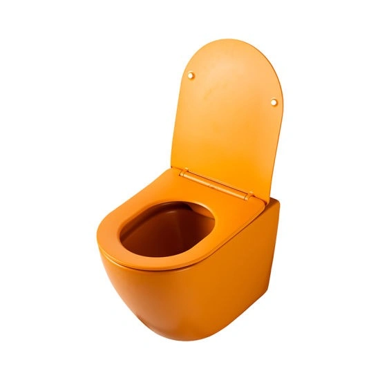 Sanitaire en céramique WC suspendu avec chasse d'eau double personnalisable en couleur.