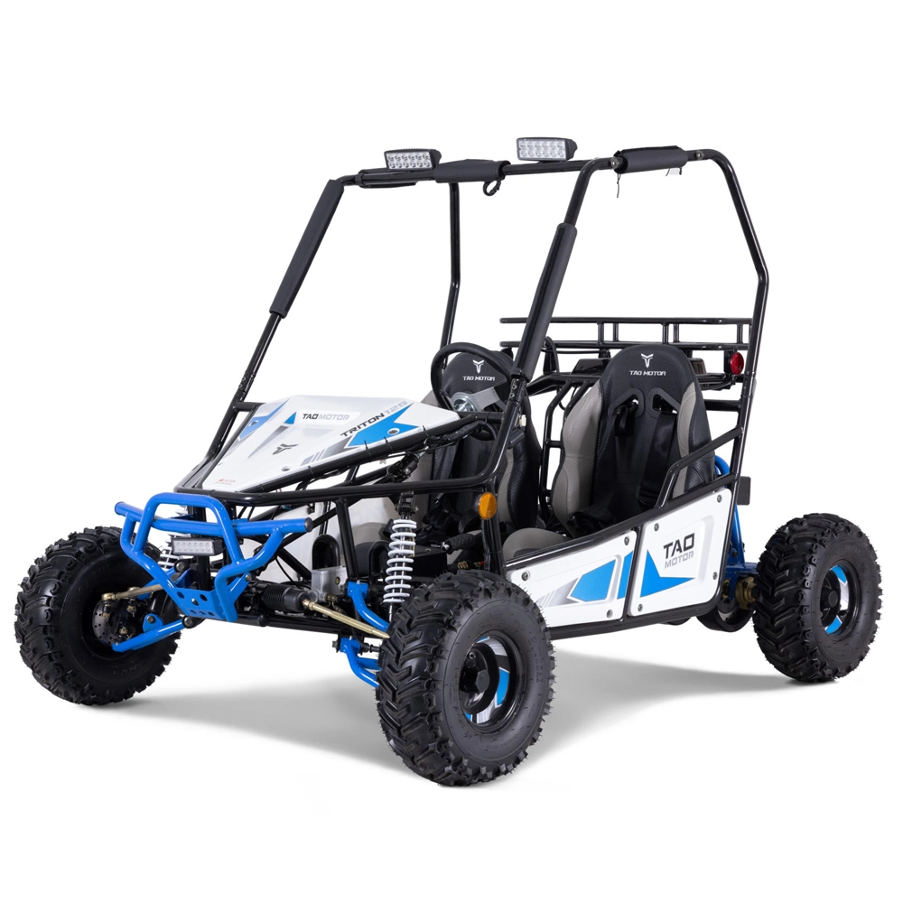 2023 New 125cc Automatic Racing Go Kart for Adults