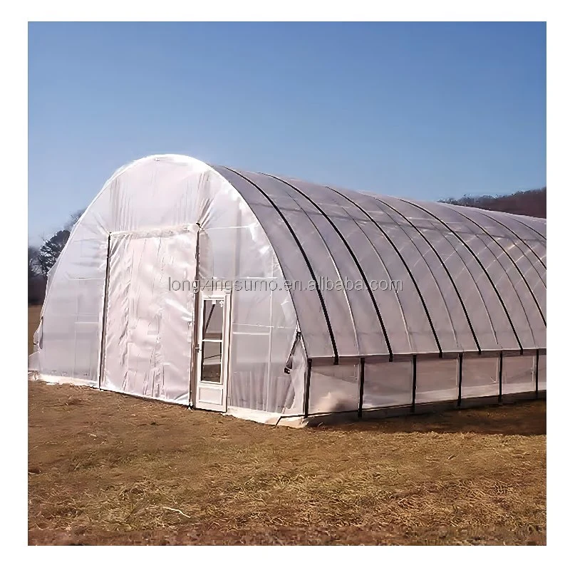 2022 Thickness Commercial Plastic Film for Tunnel Greenhouse Greenhouse Plastic Film Fr Poly Film Greenhouse in Thailand