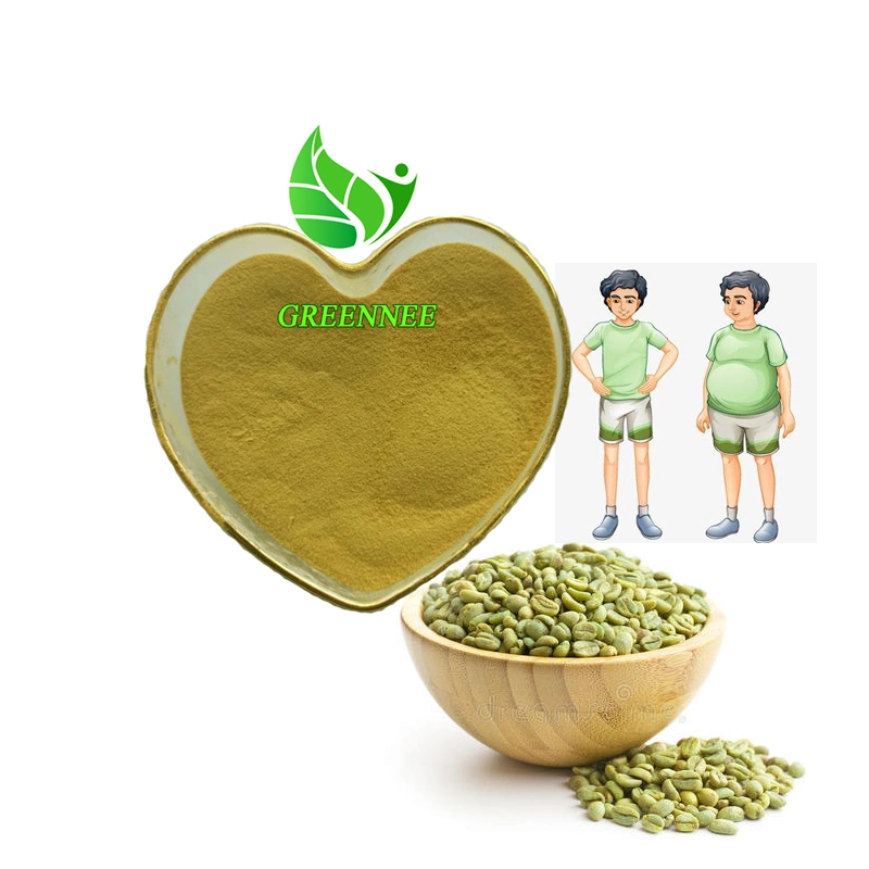 Granos de café verde cápsulas de extracto de café verde extraer un 50% de ácido clorogénico