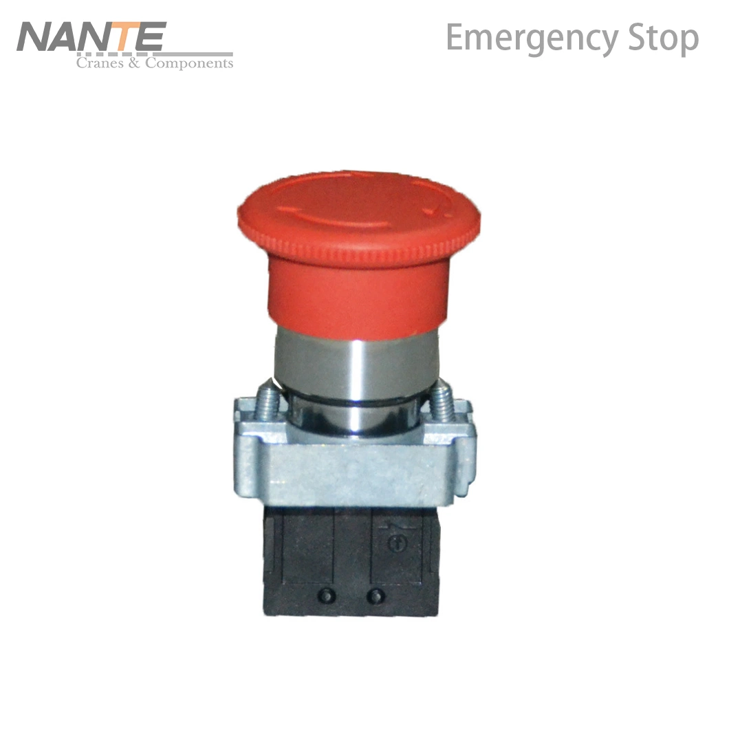 Hot Sale Double Speed Electrical Pendent Control with Emergency Stop