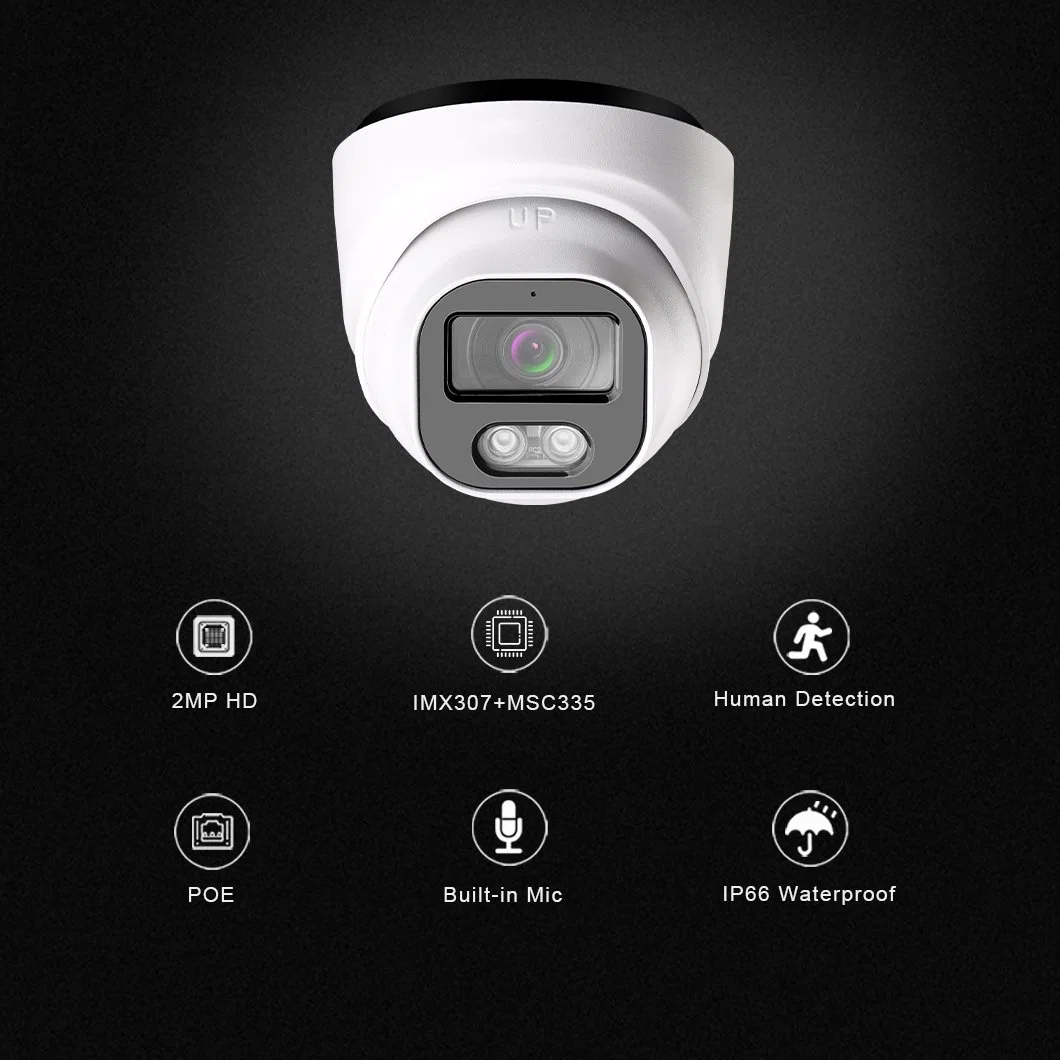 Hikvision Protocol 2MP Sony Colorvu Poe CCTV IP Security Video Full Folor Turbo Camera with Audio Human Motion Detection