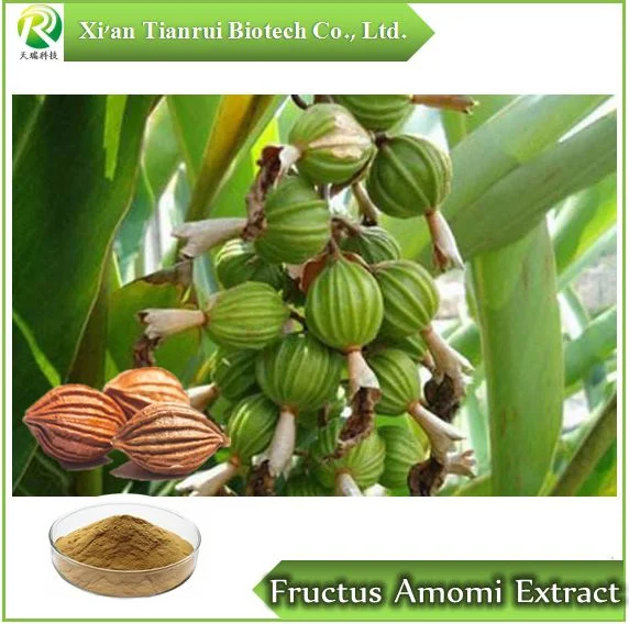 Fructus Amomi Extract, Powder