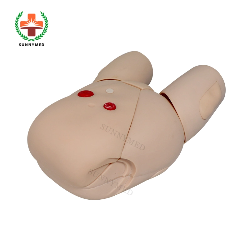 Sy-N045 Medical Nursing Care Female Catheterization Model for University