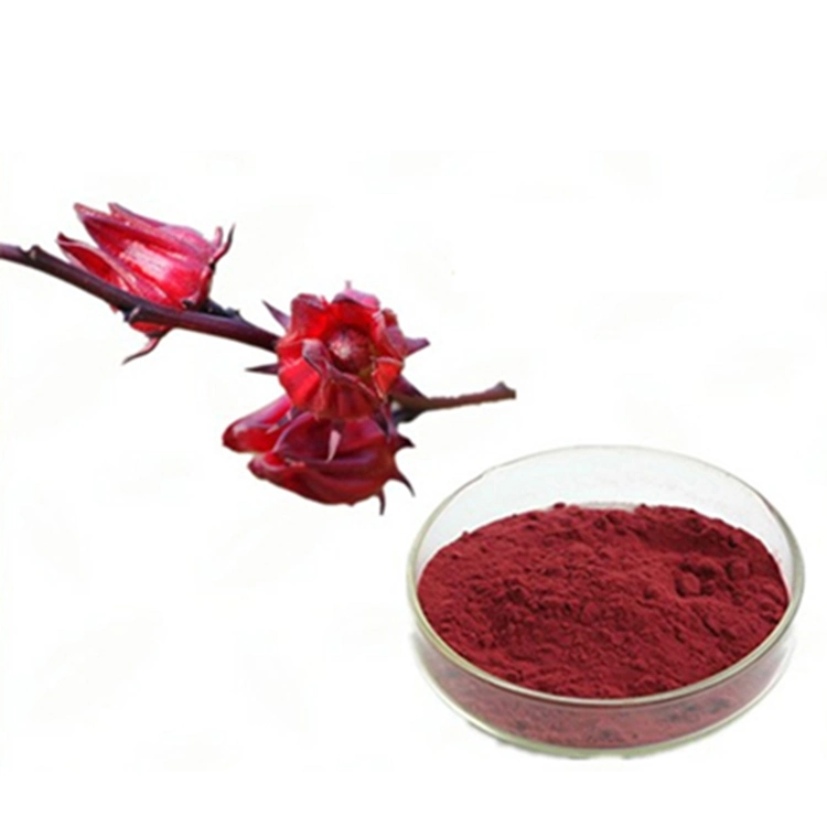 Organic Hibiscus Extract Alcohol-Free and Clean Label